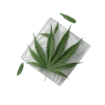 CBD Patches