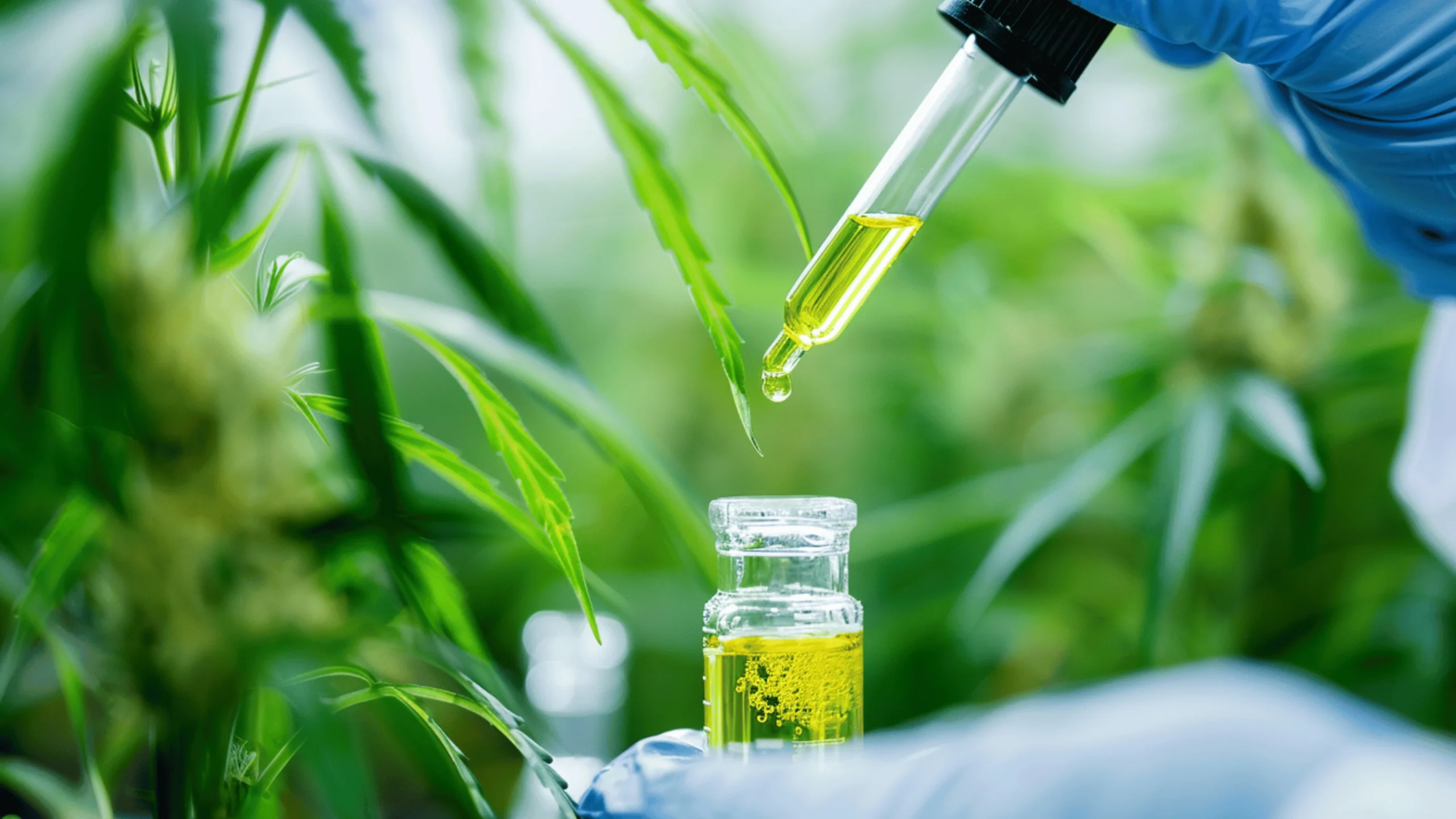 Innovations in cannabinoid extraction technology