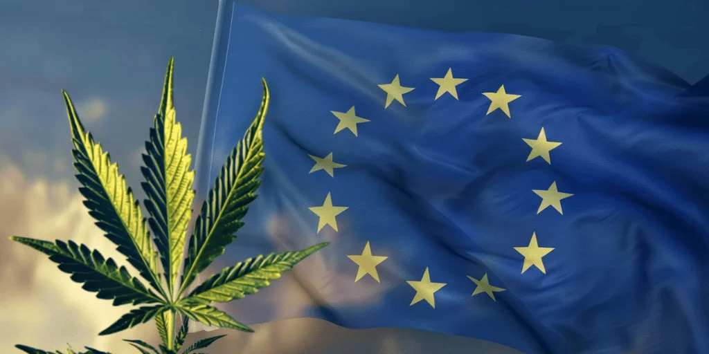 EU CBD market 2024