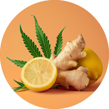 Ginger lemongrass CBD flavor