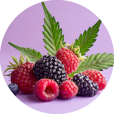 Wild berries CBD flavor