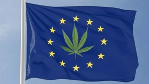 CBD regulation in Europe